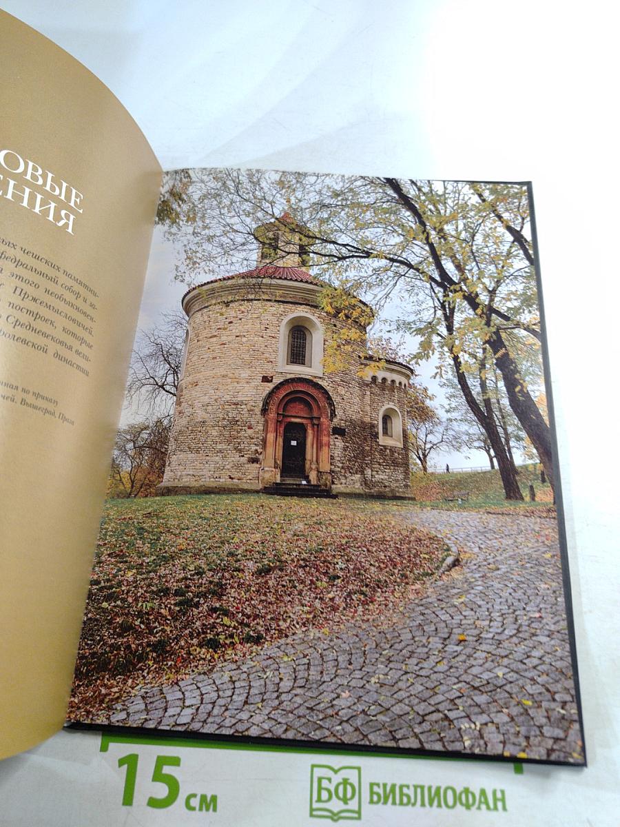 Пржемысловичи