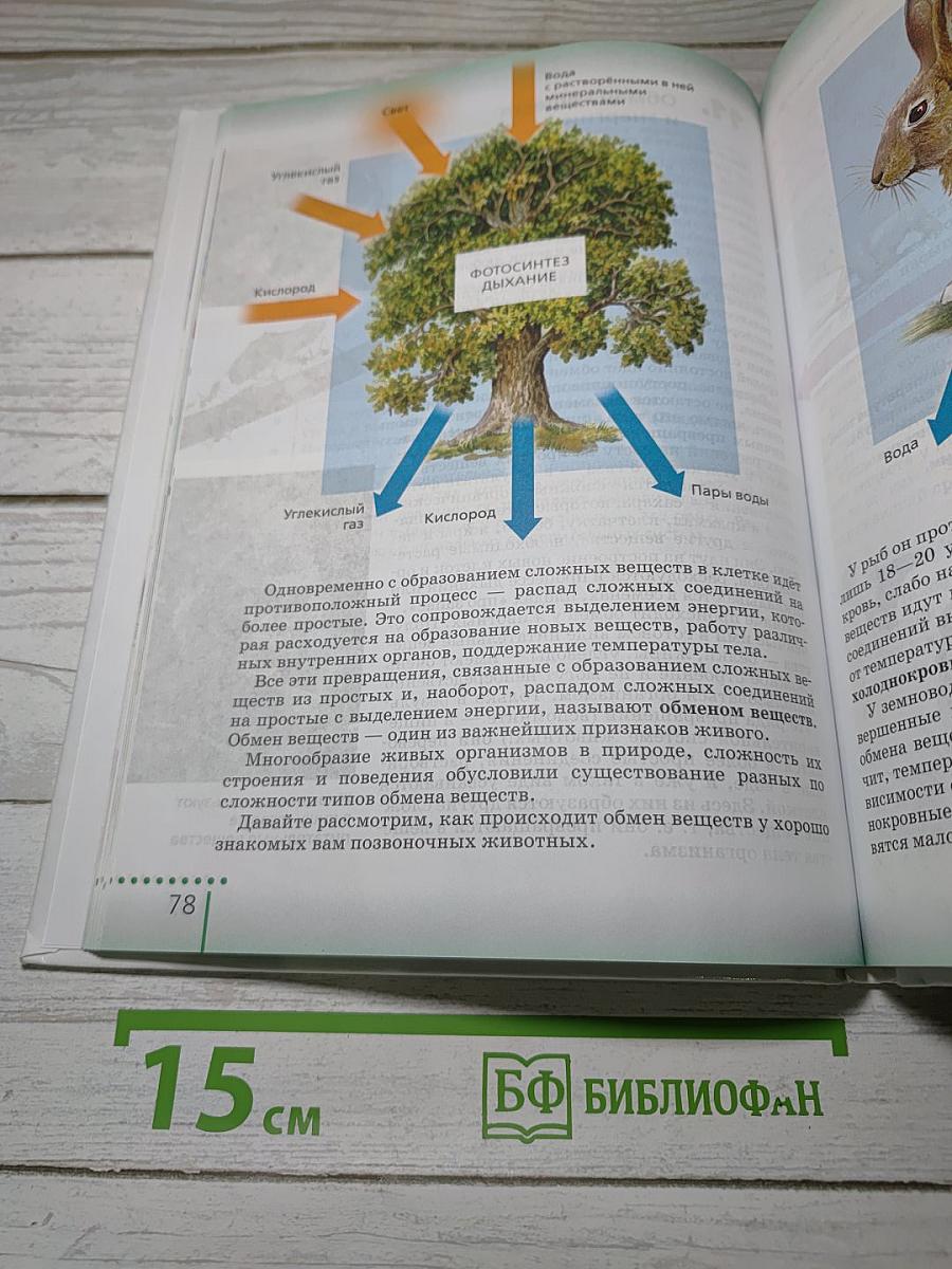 Биология. Живой организм