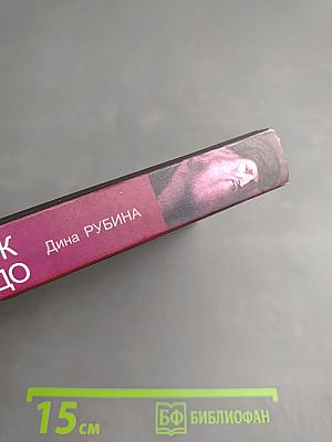 Почерк Леонардо