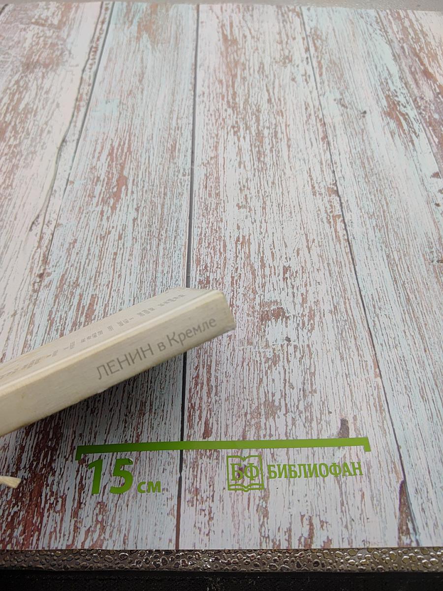 Ленин в Кремле