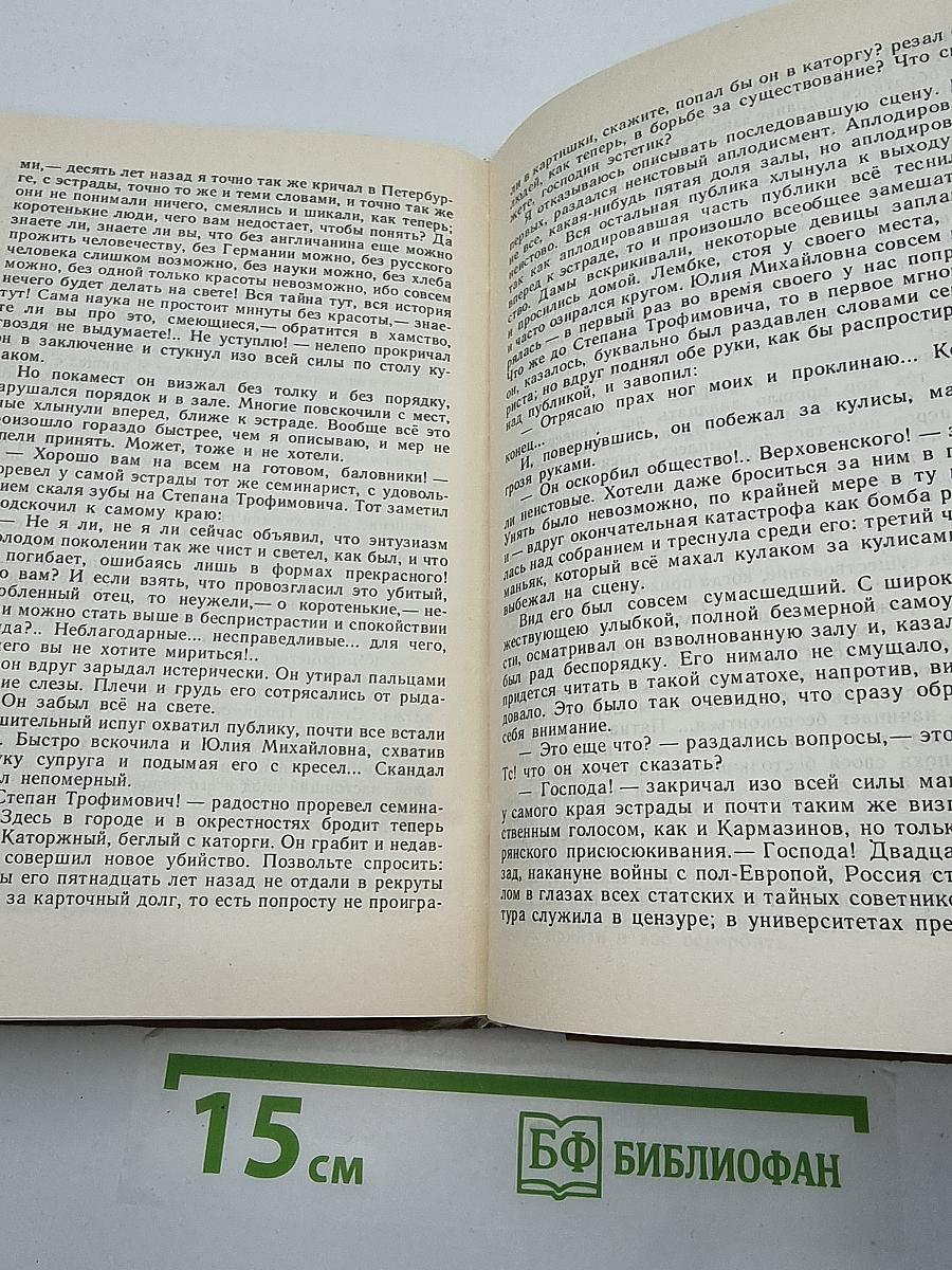 Бесы. Том 7