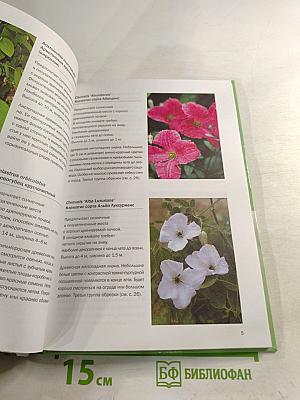 Вьющиеся растения