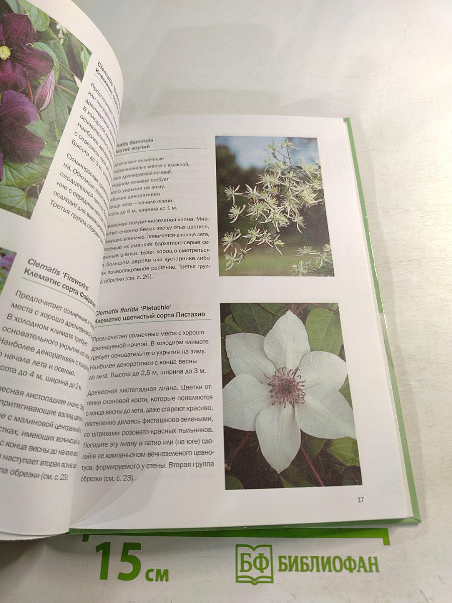 Вьющиеся растения