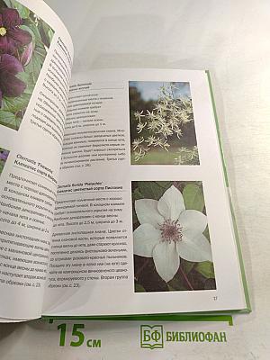 Вьющиеся растения