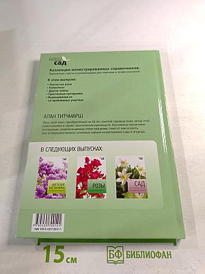 Вьющиеся растения