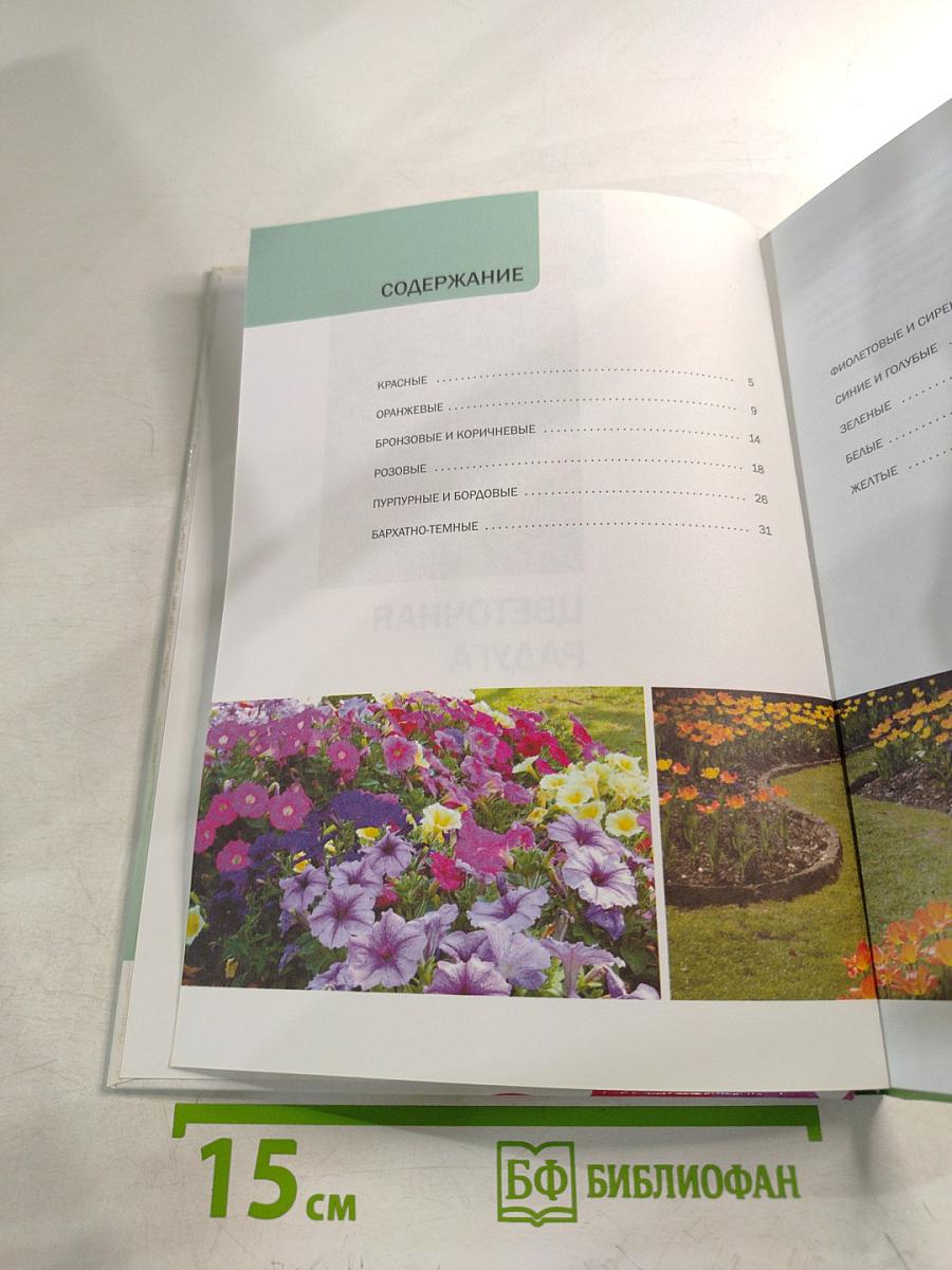 Цветочная радуга. Иллюстрированный справочник
