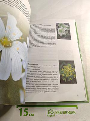 Цветочная радуга. Иллюстрированный справочник