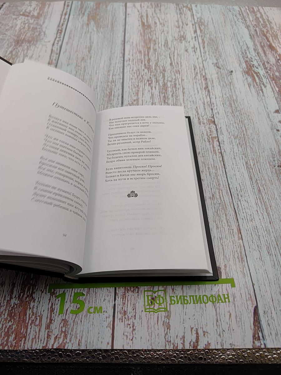 Николай Гумилев