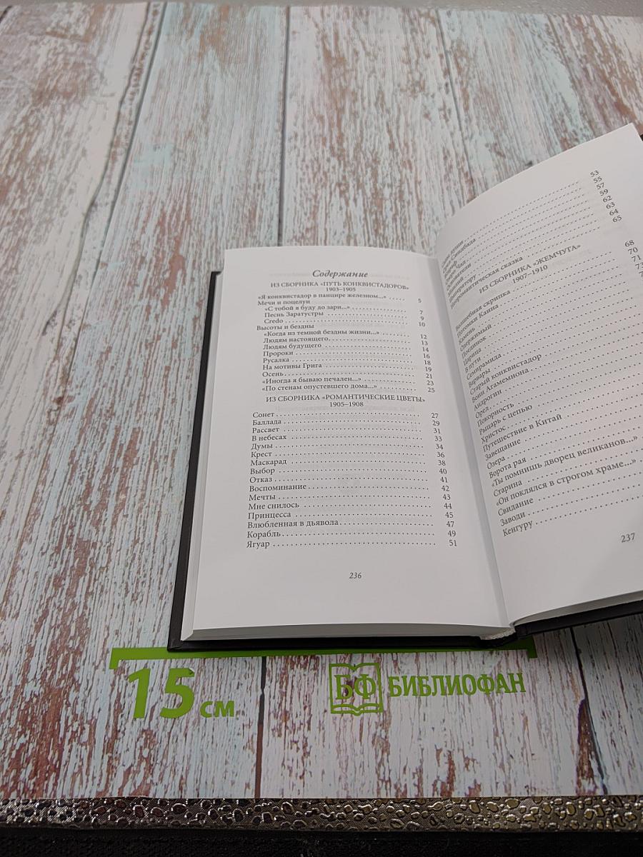 Николай Гумилев