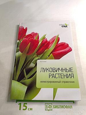 Луковичные растения