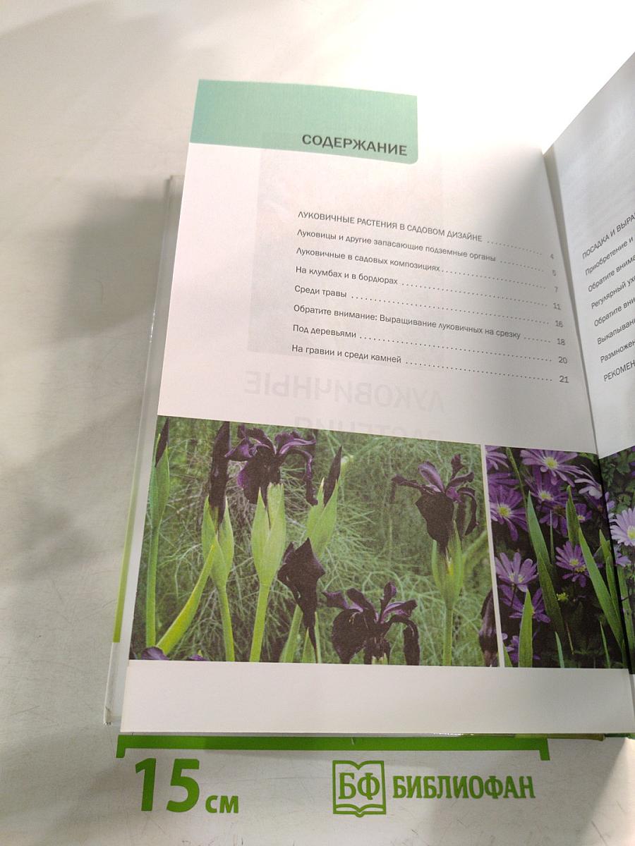 Луковичные растения