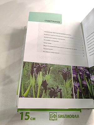 Луковичные растения