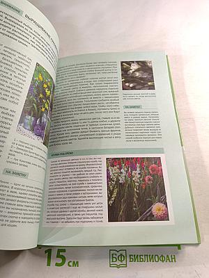 Луковичные растения