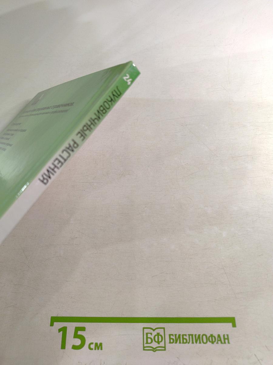 Луковичные растения