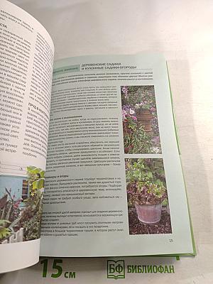 Контейнерные растения: иллюстрированный справочник