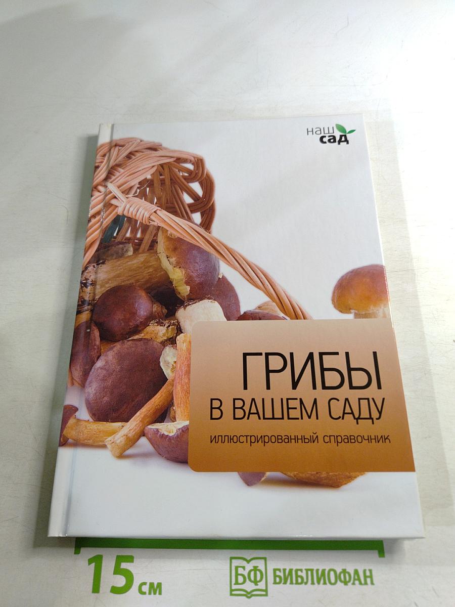 Грибы в вашем саду