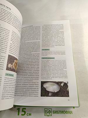 Грибы в вашем саду