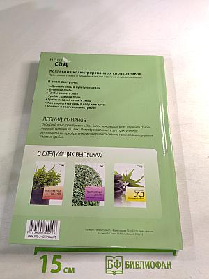 Грибы в вашем саду