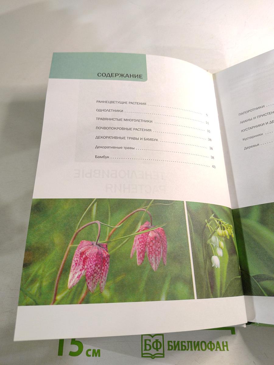 Тенелюбивые растения: иллюстрированный справочник