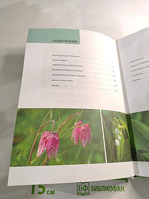 Тенелюбивые растения: иллюстрированный справочник