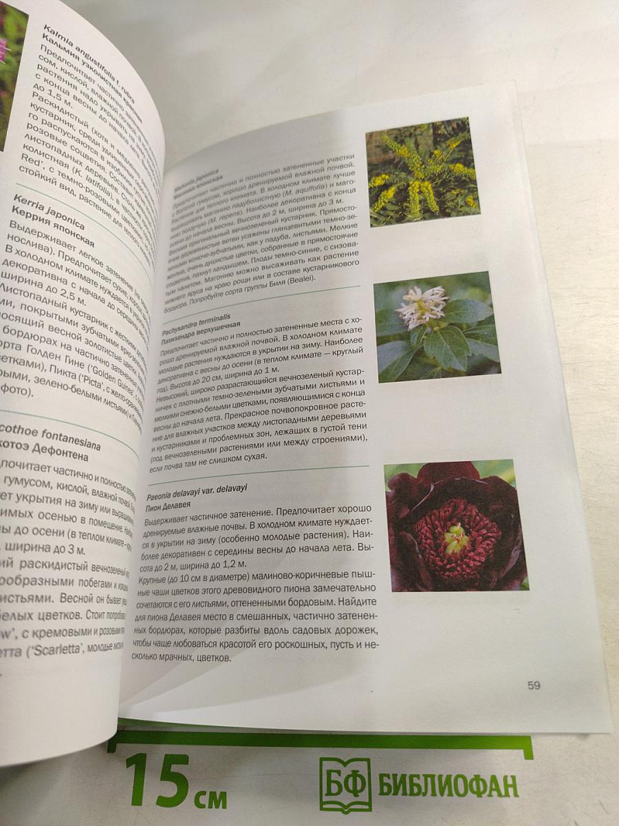 Тенелюбивые растения: иллюстрированный справочник