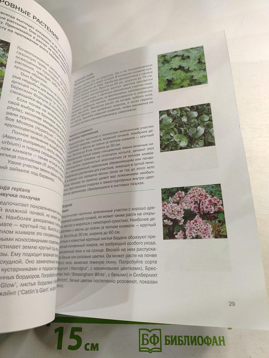 Тенелюбивые растения: иллюстрированный справочник