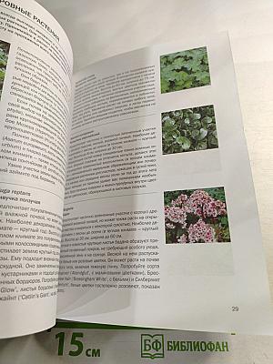 Тенелюбивые растения: иллюстрированный справочник