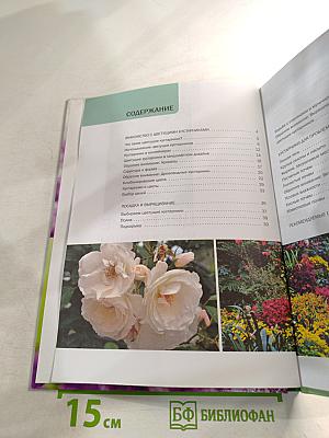 Цветущие кустарники: иллюстрированный справочник