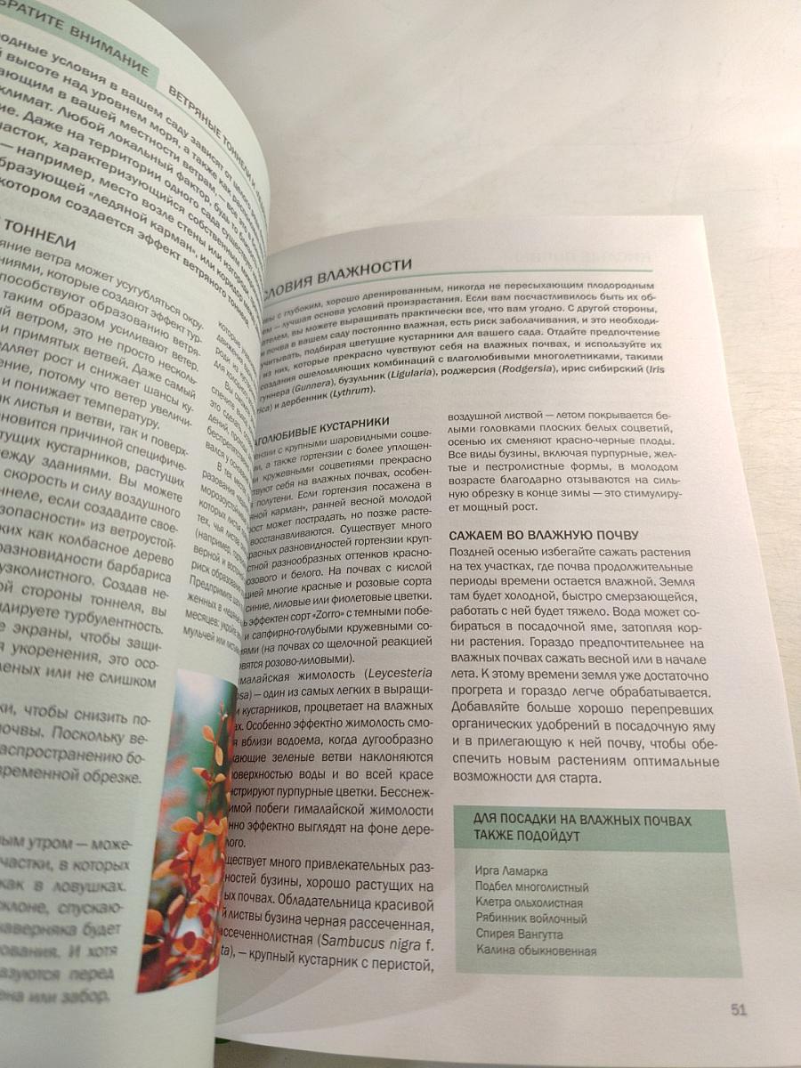 Цветущие кустарники: иллюстрированный справочник