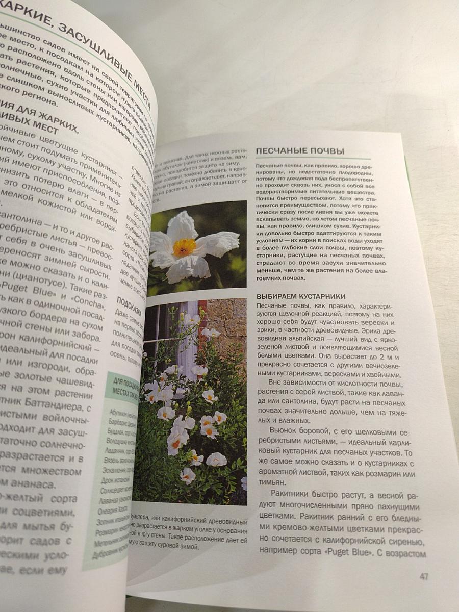 Цветущие кустарники: иллюстрированный справочник