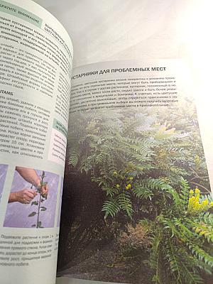 Цветущие кустарники: иллюстрированный справочник