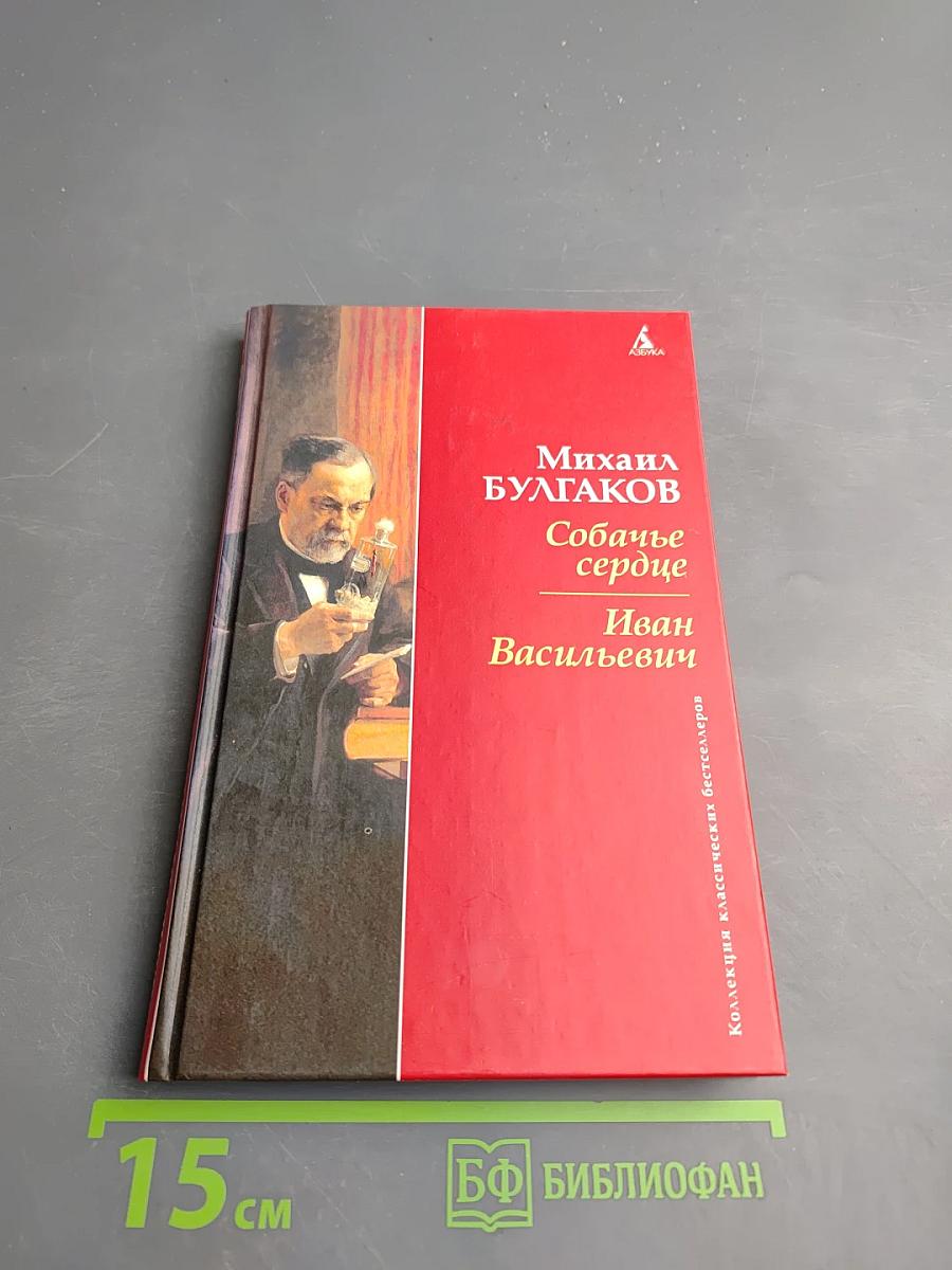 Собачье сердце; Иван Васильевич