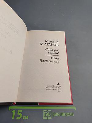 Собачье сердце; Иван Васильевич