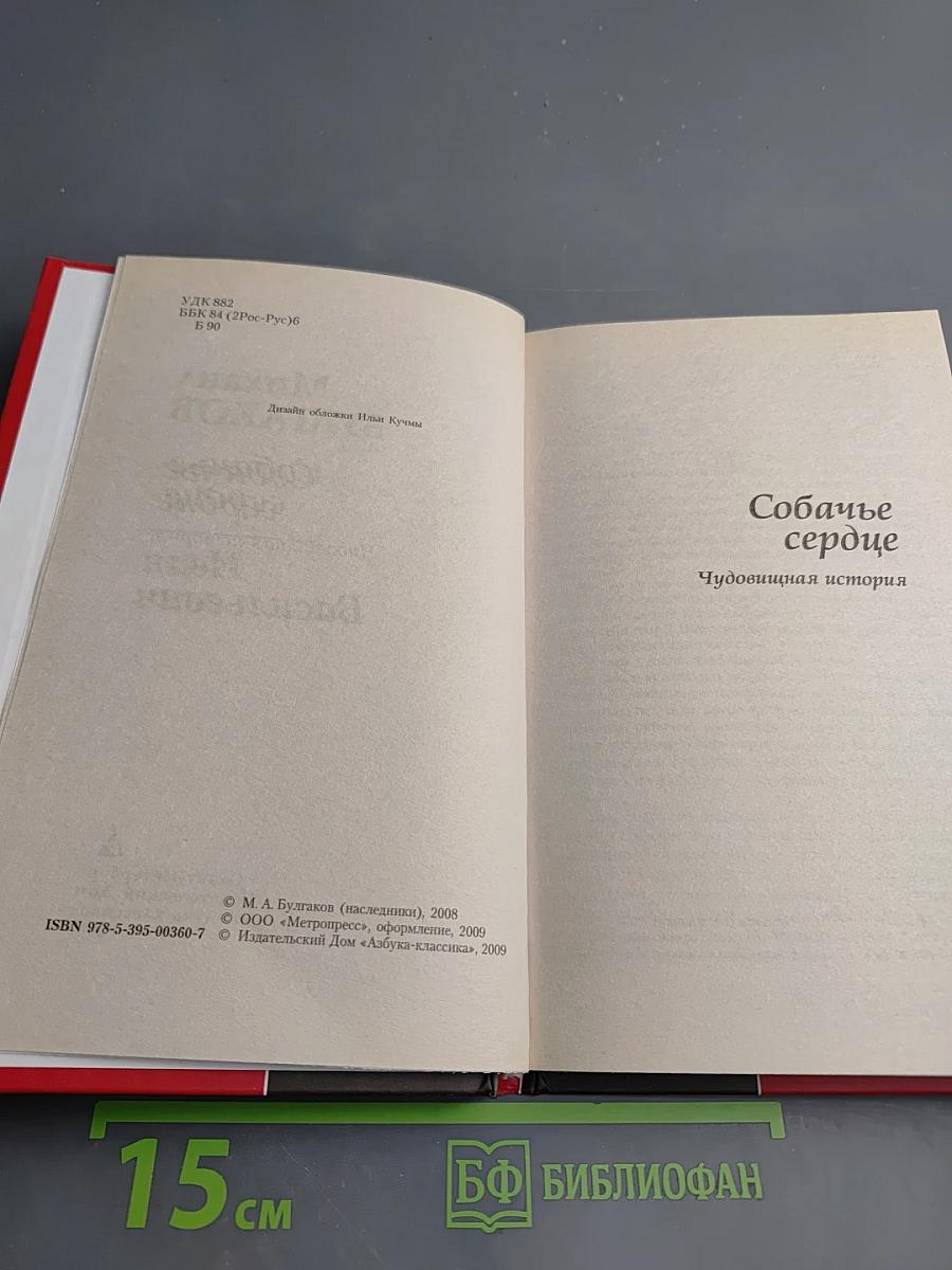 Собачье сердце; Иван Васильевич