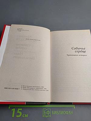 Собачье сердце; Иван Васильевич