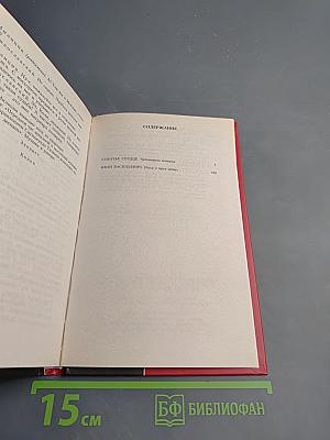 Собачье сердце; Иван Васильевич