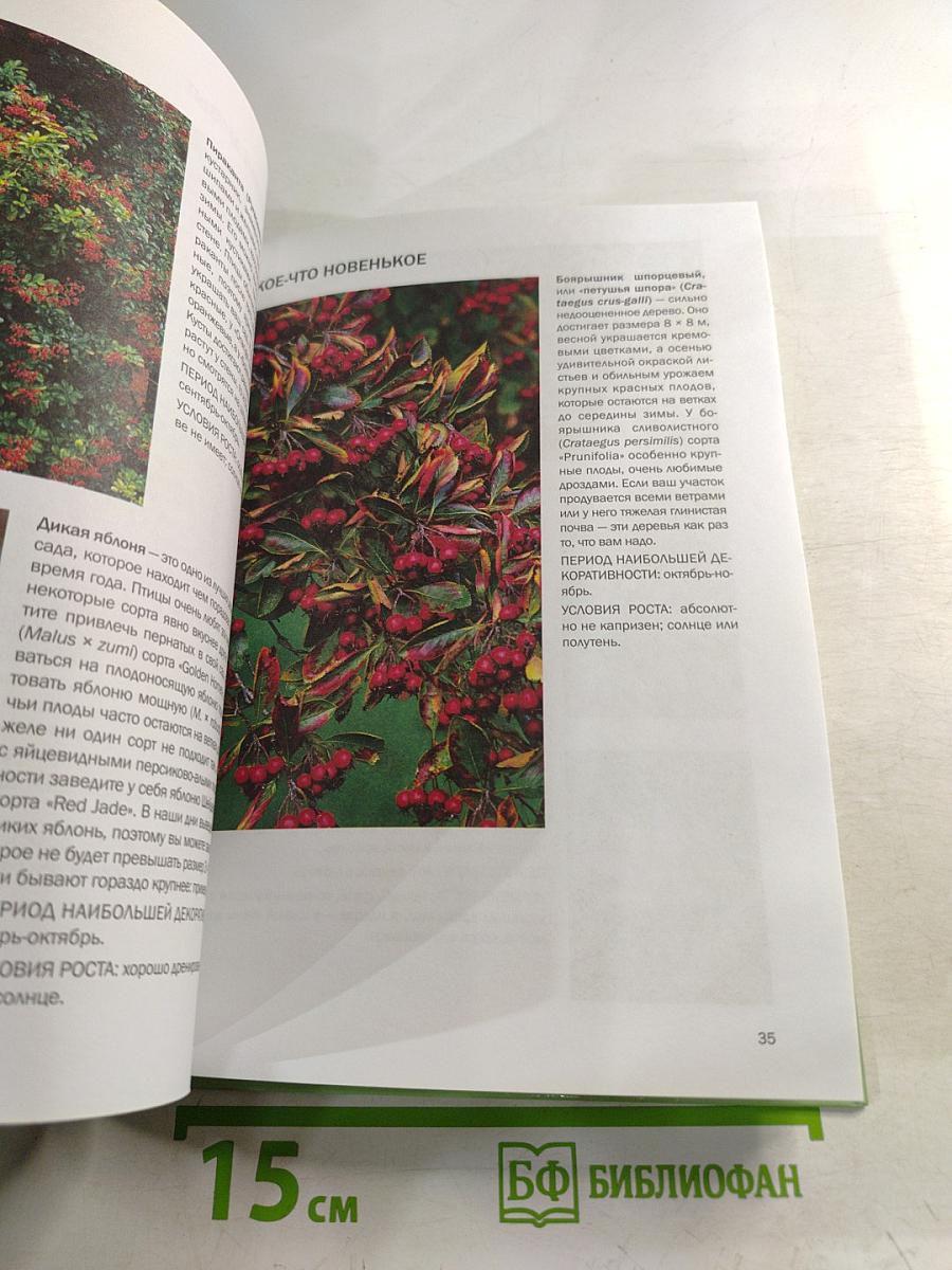 Год садовода: Осень