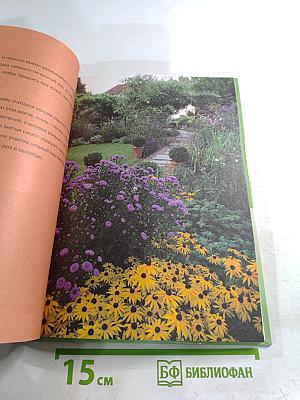 Год садовода: Осень