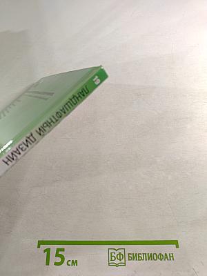 Ландшафтный дизайн