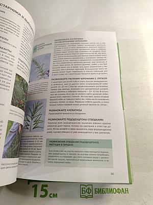 Год садовода: Лето