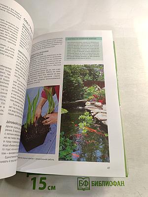 Год садовода: Лето