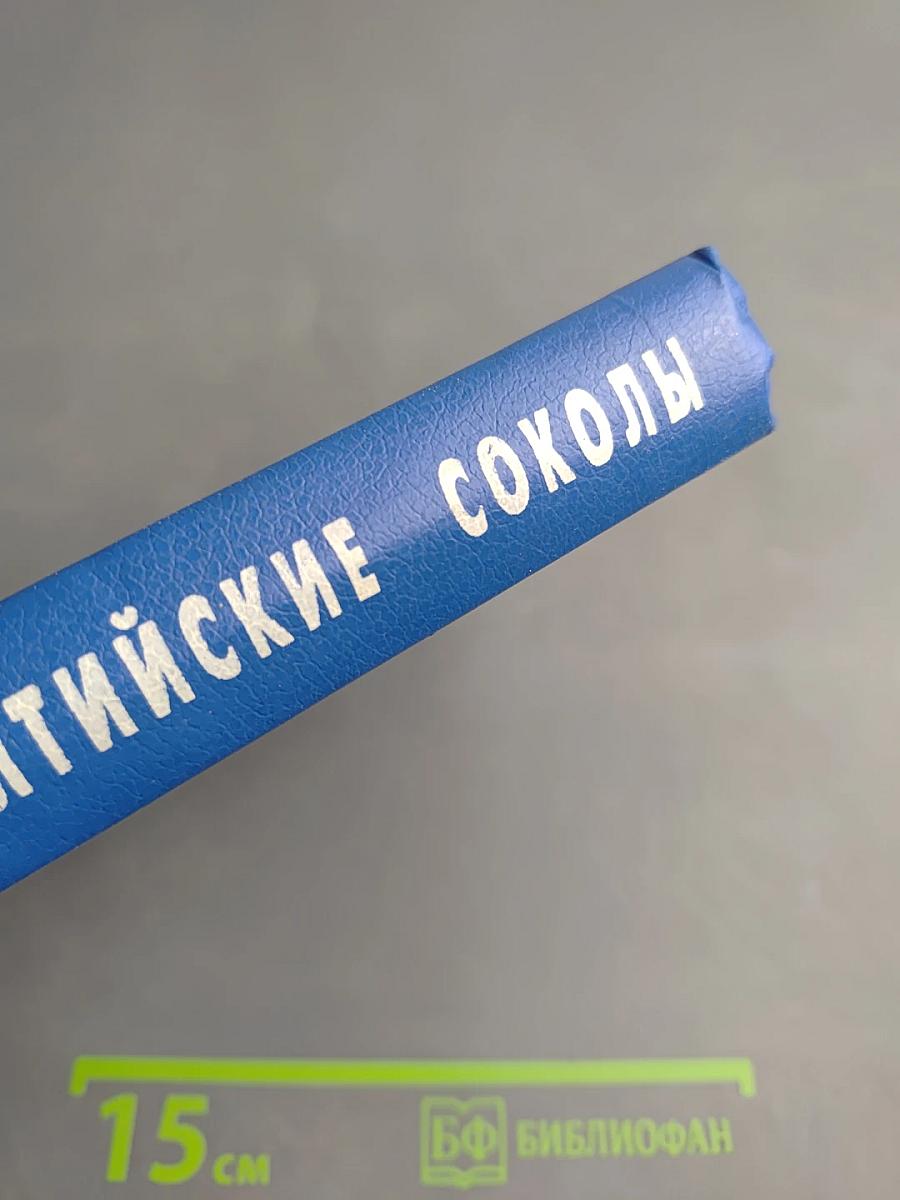 Балтийские соколы