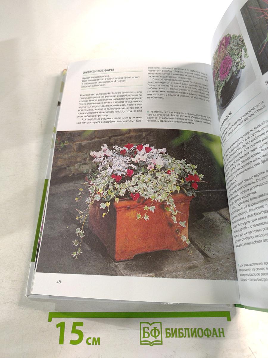 Домашняя оранжерея