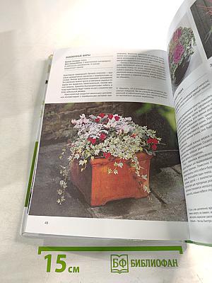 Домашняя оранжерея