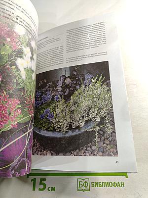 Домашняя оранжерея