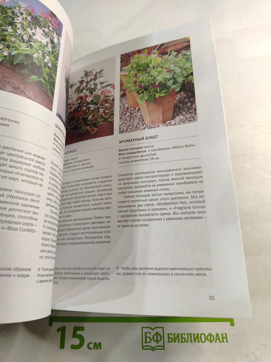 Домашняя оранжерея