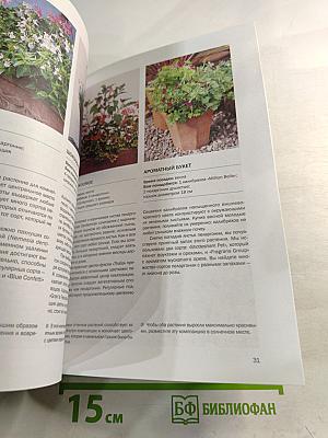 Домашняя оранжерея