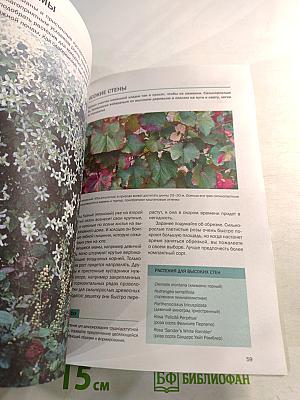 Декоративные растения: иллюстрированный справочник