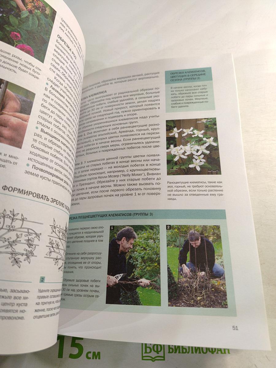 Декоративные растения: иллюстрированный справочник