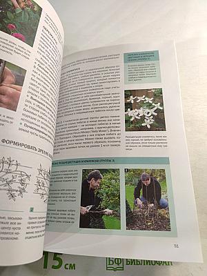 Декоративные растения: иллюстрированный справочник